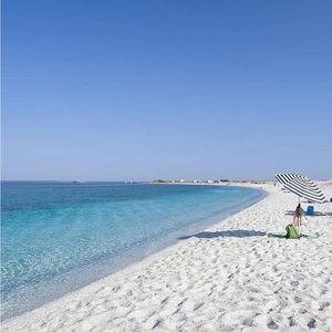 Meet your Posher, Cyndi